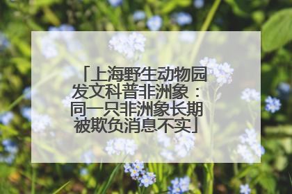 上海野生动物园发文科普非洲象：同一只非洲象长期被欺负消息不实