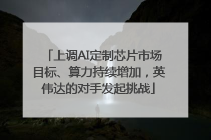 上调AI定制芯片市场目标、算力持续增加，英伟达的对手发起挑战