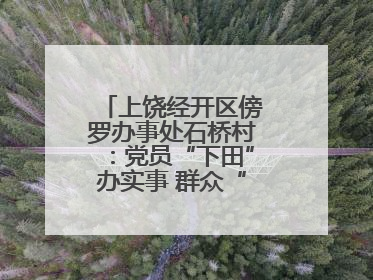 上饶经开区傍罗办事处石桥村：党员“下田”办实事 群众“点赞”笑开颜