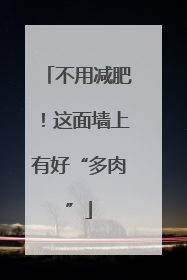 不用减肥！这面墙上有好“多肉”