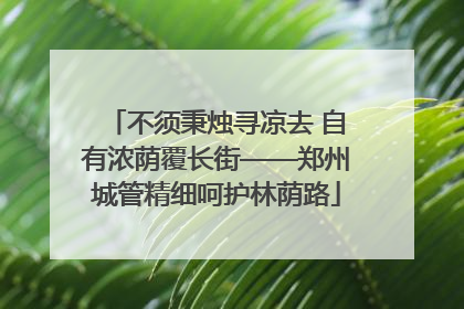 不须秉烛寻凉去 自有浓荫覆长街——郑州城管精细呵护林荫路