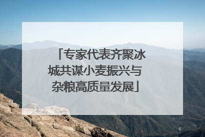 专家代表齐聚冰城共谋小麦振兴与杂粮高质量发展