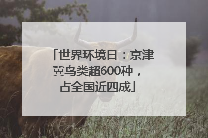 世界环境日：京津冀鸟类超600种，占全国近四成