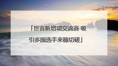 世赛新增项交流赛 吸引多国选手来穗切磋