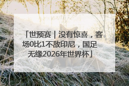 世预赛｜没有惊喜，客场0比1不敌印尼，国足无缘2026年世界杯