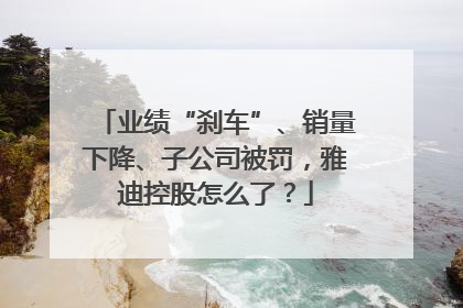 业绩“刹车”、销量下降、子公司被罚，雅迪控股怎么了？