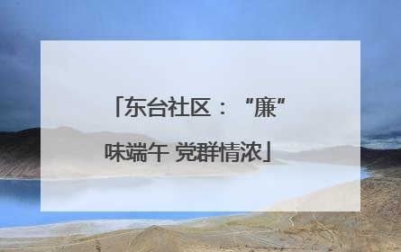 东台社区：“廉”味端午 党群情浓