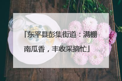 东平县彭集街道：满棚南瓜香，丰收采摘忙