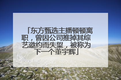 东方甄选主播顿顿离职，曾因公司推掉其综艺邀约而失望，被称为下一个董宇辉