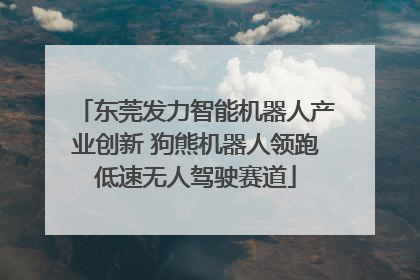 东莞发力智能机器人产业创新 狗熊机器人领跑低速无人驾驶赛道