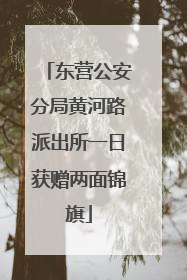 东营公安分局黄河路派出所一日获赠两面锦旗