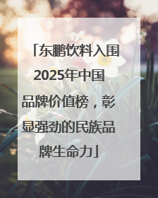 东鹏饮料入围2025年中国品牌价值榜，彰显强劲的民族品牌生命力