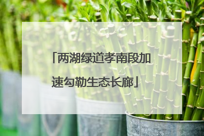 两湖绿道孝南段加速勾勒生态长廊