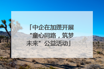 中企在加蓬开展“童心同路，筑梦未来”公益活动