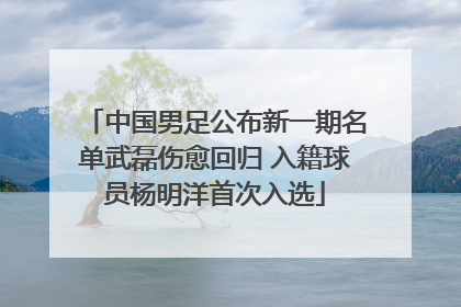 中国男足公布新一期名单武磊伤愈回归 入籍球员杨明洋首次入选