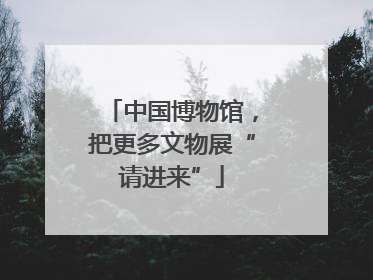 中国博物馆，把更多文物展“请进来”