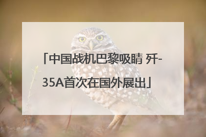 中国战机巴黎吸睛 歼-35A首次在国外展出