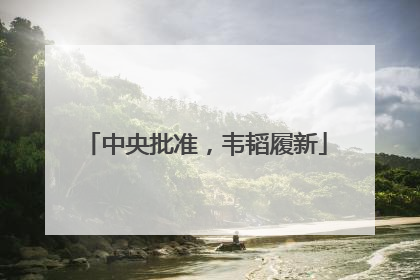 中央批准，韦韬履新