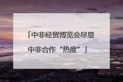 中非经贸博览会尽显中非合作“热度”