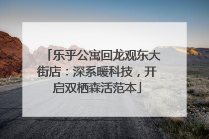 乐乎公寓回龙观东大街店：深系暖科技，开启双栖森活范本