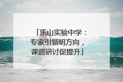 乐山实验中学：专家引领明方向，课题研讨促提升