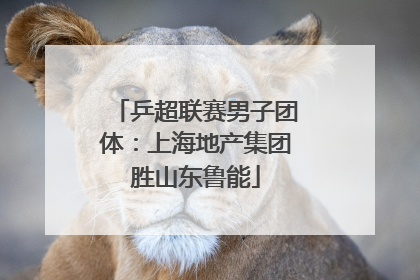乒超联赛男子团体：上海地产集团胜山东鲁能