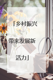 乡村振兴带来发展新活力