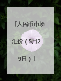 人民币市场汇价（5月29日）