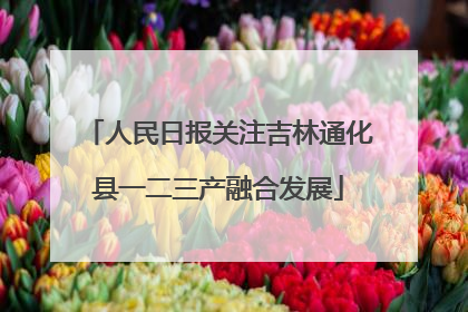 人民日报关注吉林通化县一二三产融合发展