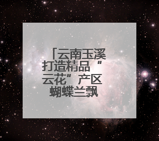 云南玉溪打造精品“云花”产区 蝴蝶兰飘香东南亚