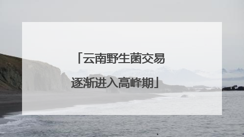 云南野生菌交易逐渐进入高峰期