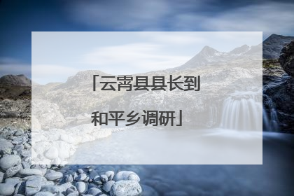 云霄县县长到和平乡调研