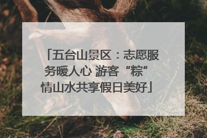 五台山景区：志愿服务暖人心 游客“粽”情山水共享假日美好