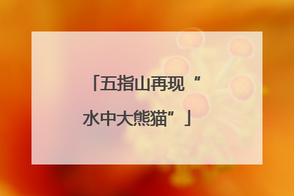五指山再现“水中大熊猫”