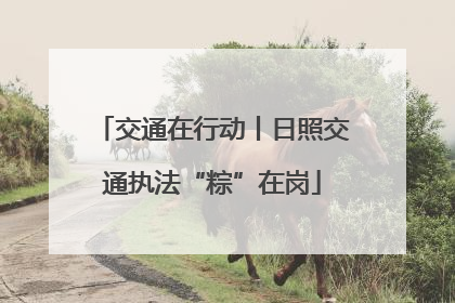 交通在行动丨日照交通执法“粽”在岗