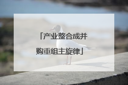 产业整合成并购重组主旋律