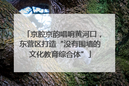 京腔京韵唱响黄河口，东营区打造“没有围墙的文化教育综合体”