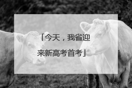 今天，我省迎来新高考首考