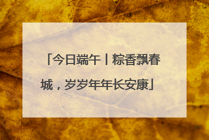 今日端午丨粽香飘春城，岁岁年年长安康