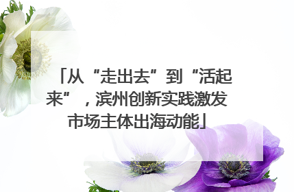 从“走出去”到“活起来”，滨州创新实践激发市场主体出海动能