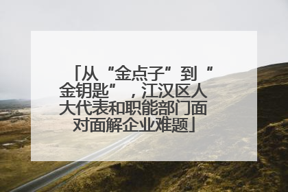从“金点子”到“金钥匙”，江汉区人大代表和职能部门面对面解企业难题