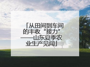 从田间到车间的丰收“接力”——山东夏季农业生产见闻