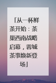 从一杯鲜茶开始：茶巢西南战略启幕，蓉城茶事焕新登场