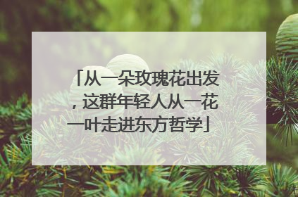 从一朵玫瑰花出发，这群年轻人从一花一叶走进东方哲学
