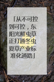 从不可控到可控，东阳光鲜虫草正打通冬虫夏草产业标准化通路