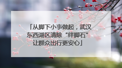 从脚下小事做起，武汉东西湖区清除“绊脚石”让群众出行更安心