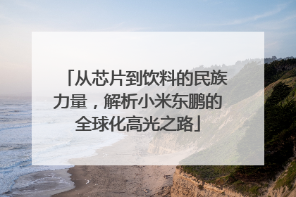 从芯片到饮料的民族力量，解析小米东鹏的全球化高光之路