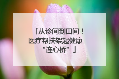 从诊间到田间！医疗帮扶架起健康“连心桥”