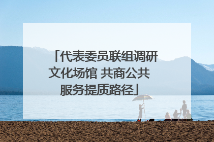 代表委员联组调研文化场馆 共商公共服务提质路径