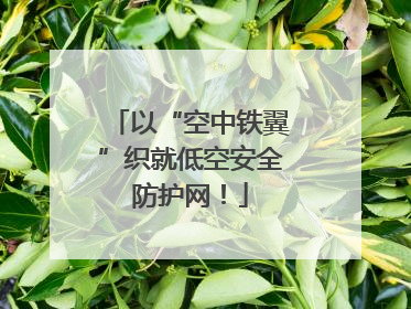 以“空中铁翼”织就低空安全防护网！